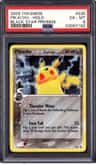 Pikachu D