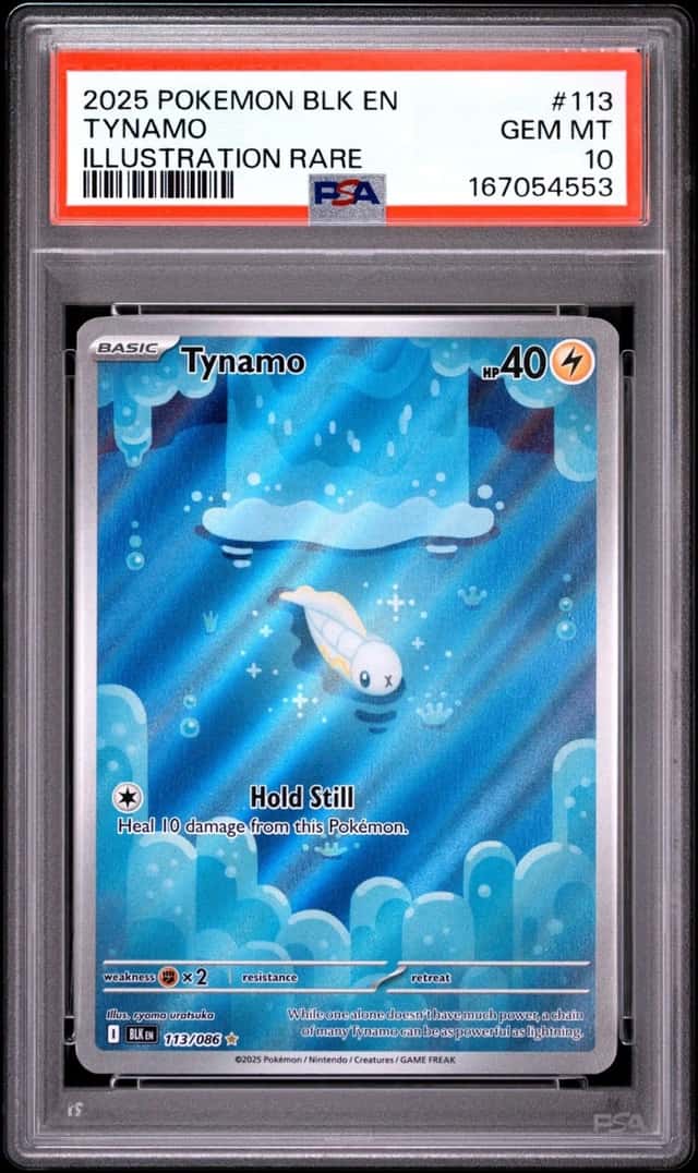 Tynamo