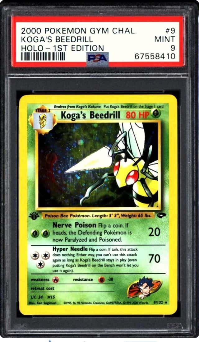Koga's Beedrill