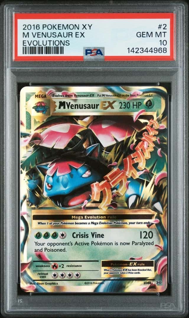 M Venusaur EX