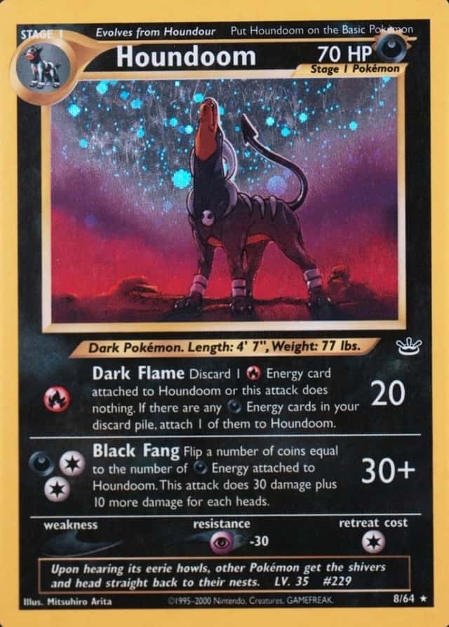 Holo