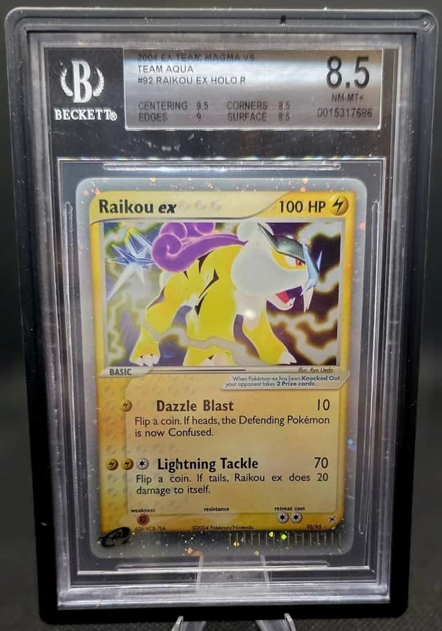 Raikou EX