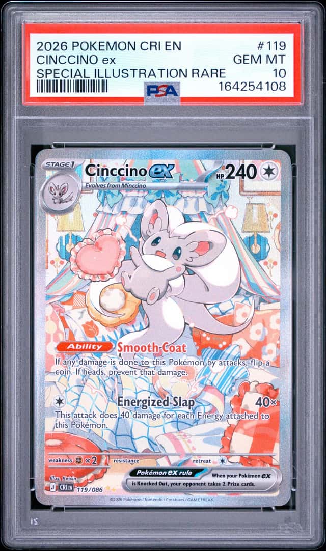 CINCCINO ex