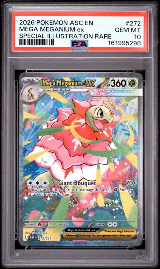 MEGA MEGANIUM ex