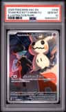 Team Rocket'S Mimikyu