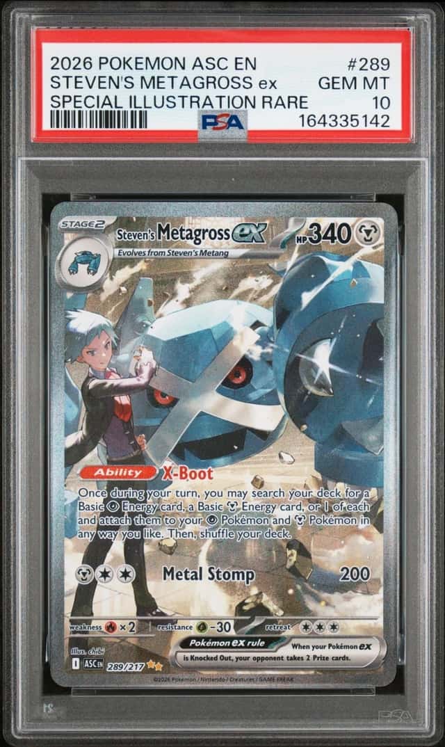 STEVEN'S METAGROSS ex