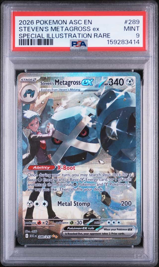 STEVEN'S METAGROSS ex