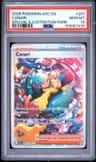 Canari