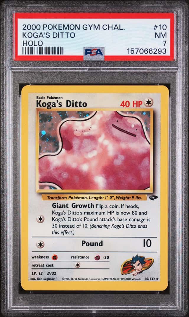Koga's Ditto