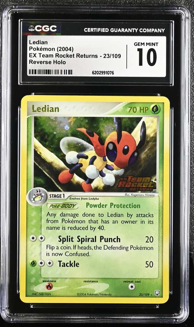 Ledian