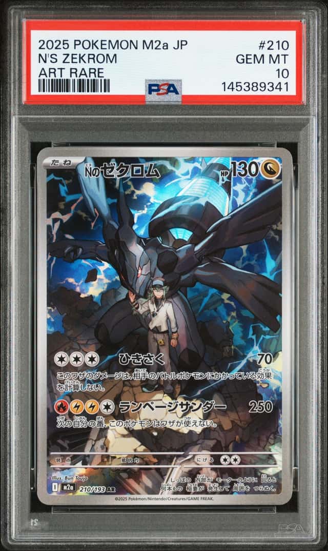 N's Zekrom