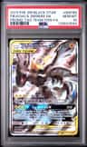 Pikachu & Zekrom Gx