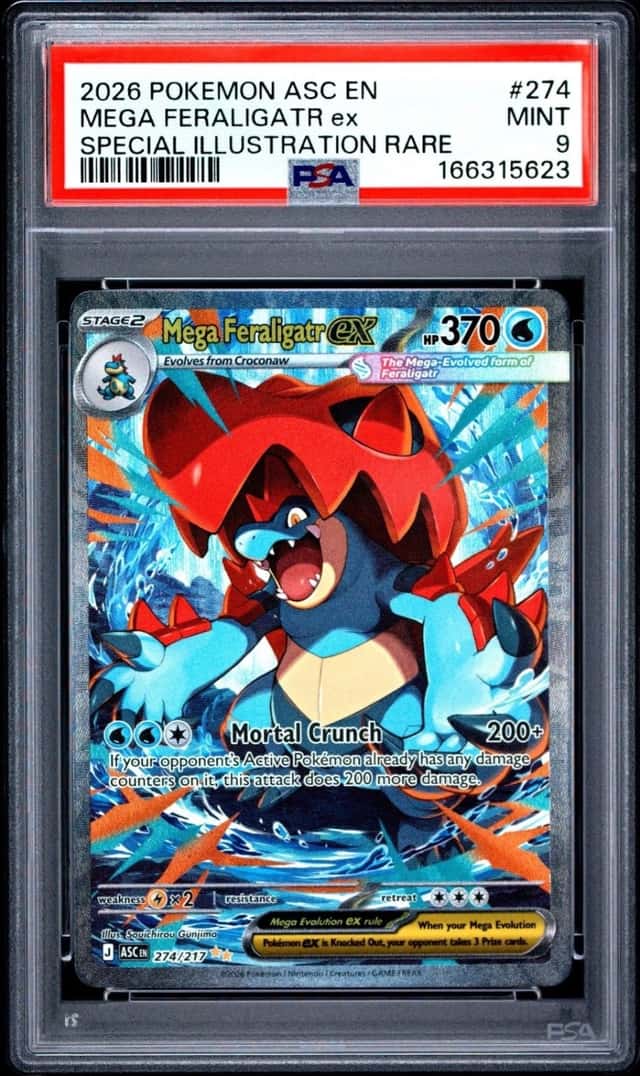 MEGA FERALIGATR ex