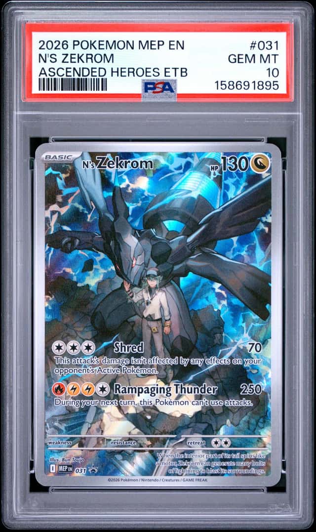 N's Zekrom