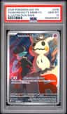 Team Rocket'S Mimikyu