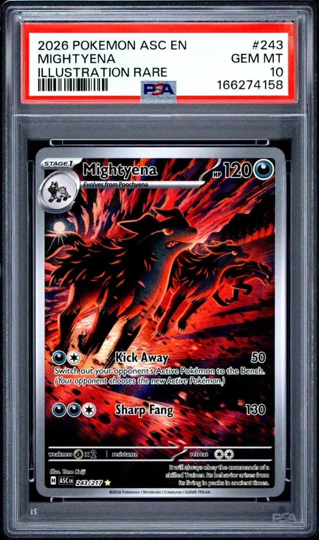 2026 POKEMON ASC EN-ASCENDED HEROES #243 MIGHTYENA ILLUSTRATION RARE PSA 10