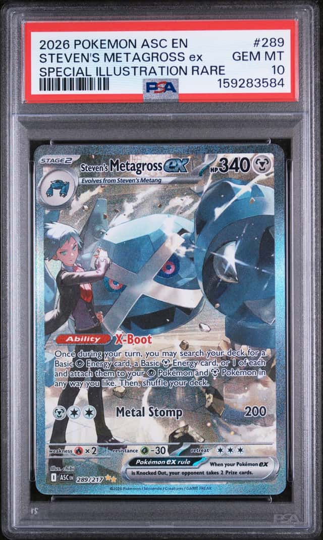 STEVEN'S METAGROSS ex