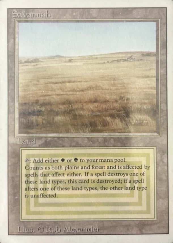 Base / no variant