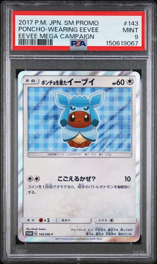 Poncho-Wearing Eevee