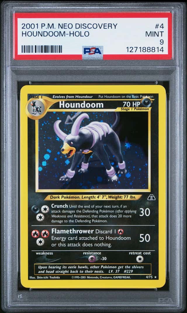 Houndoom
