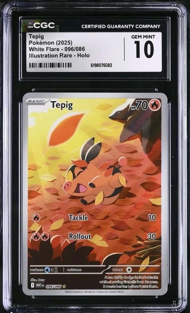 Tepig
