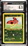 Ledyba
