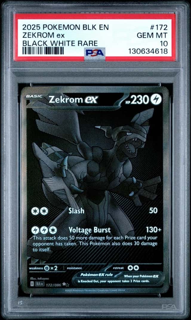 ZEKROM ex