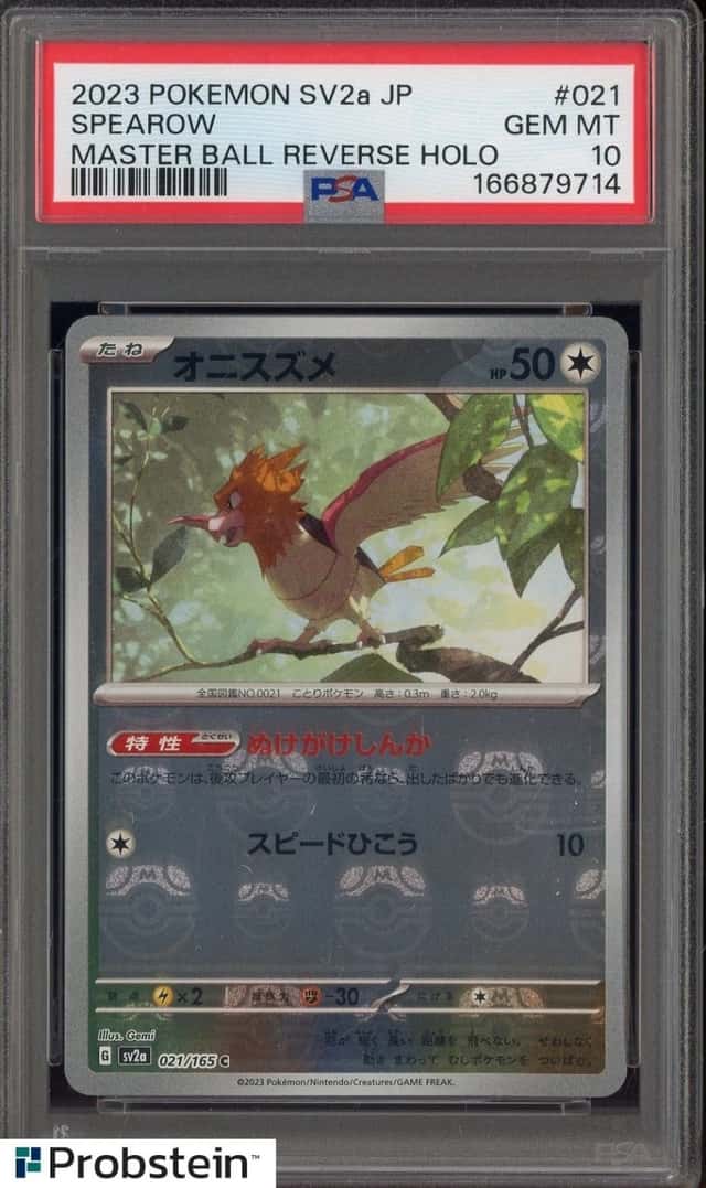 Spearow