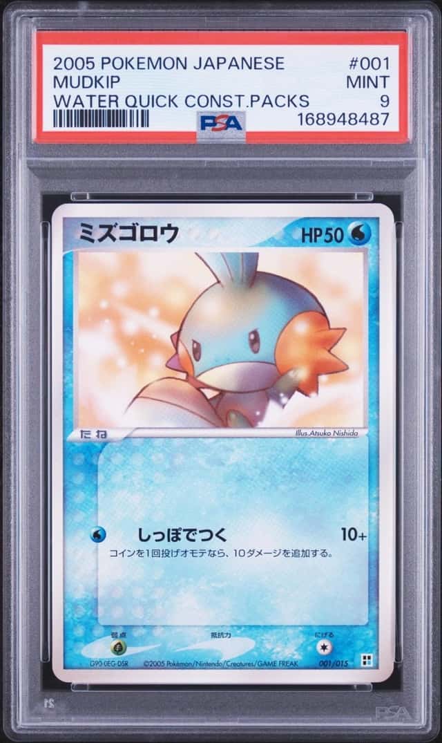 Mudkip
