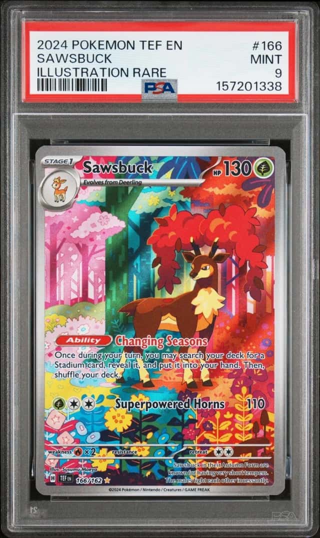 Sawsbuck