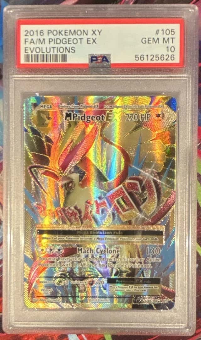 M Pidgeot EX