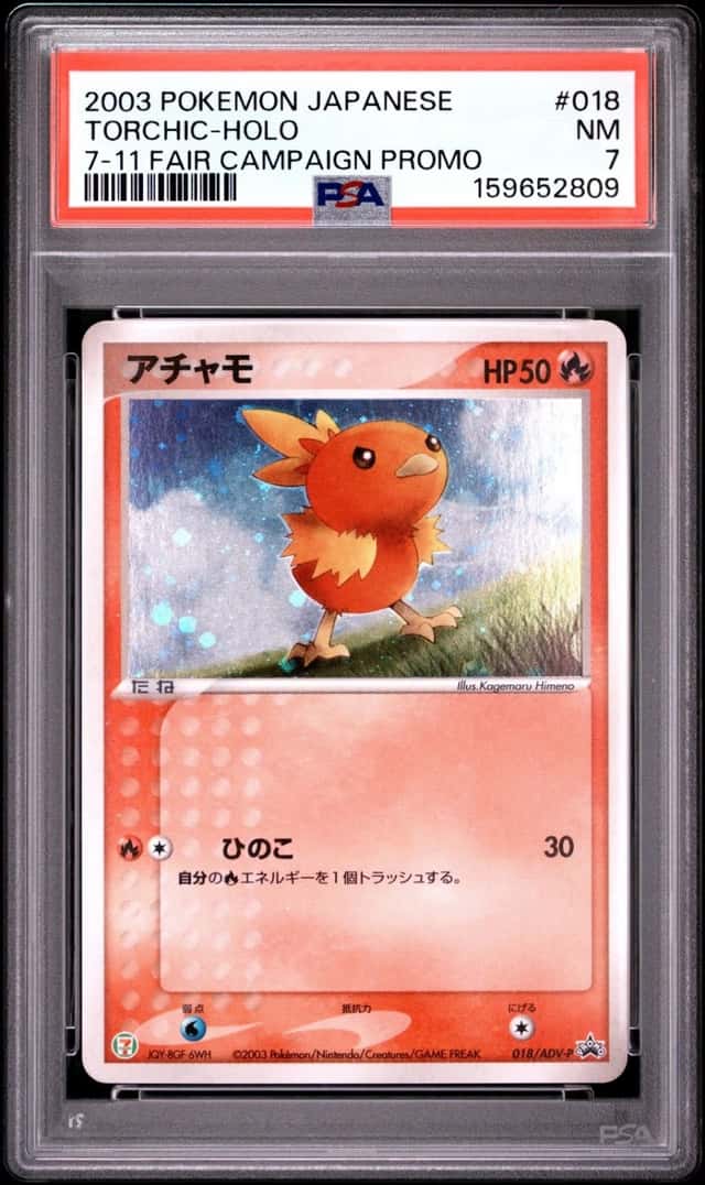 Torchic