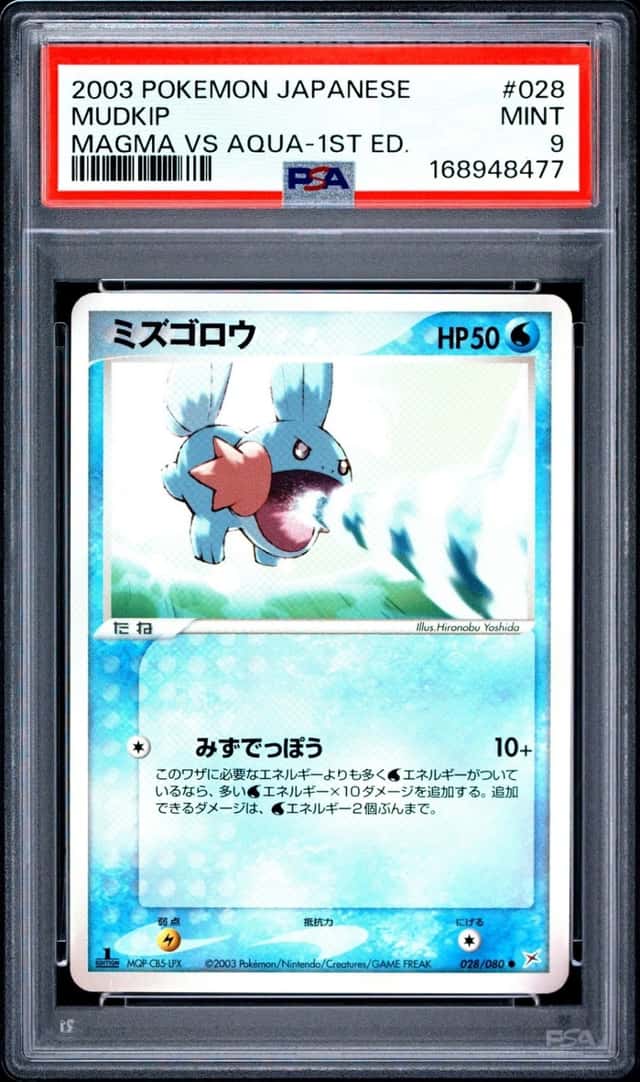 Mudkip