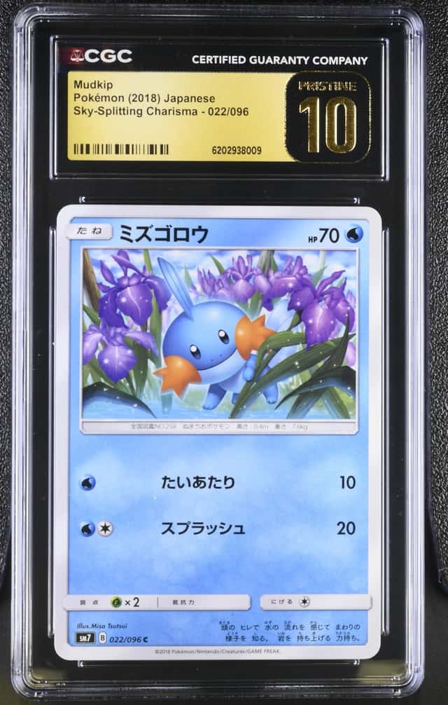 Mudkip