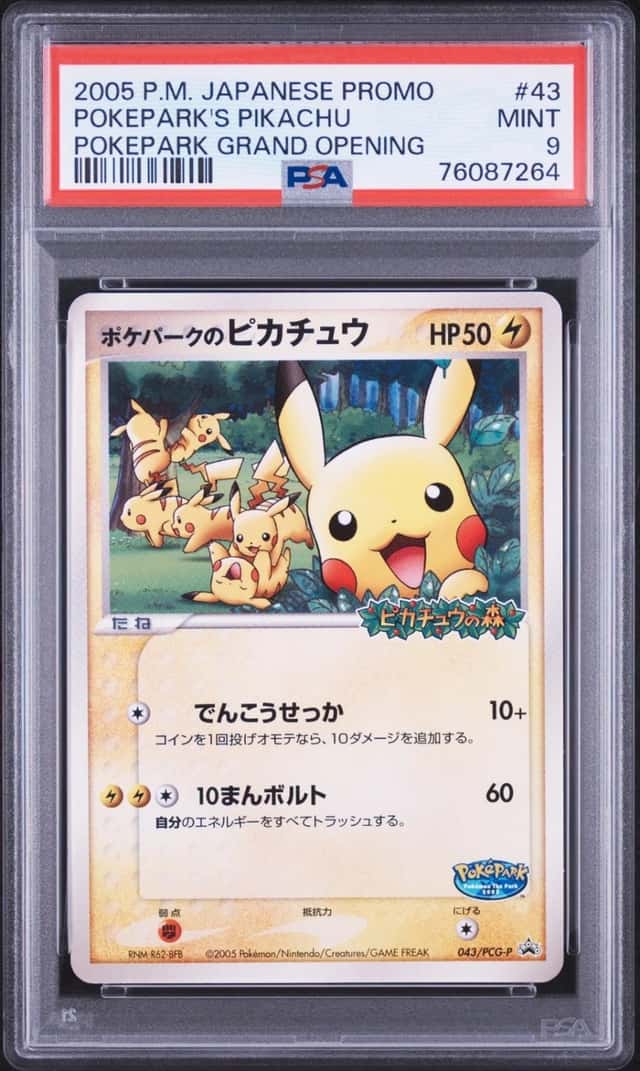 PokePark's Pikachu