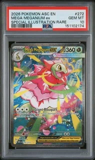 MEGA MEGANIUM ex