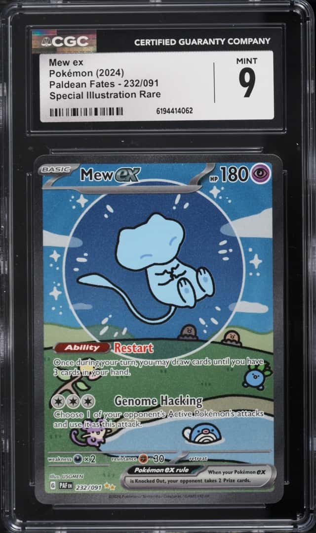 MEW ex