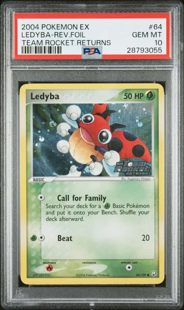 Ledyba