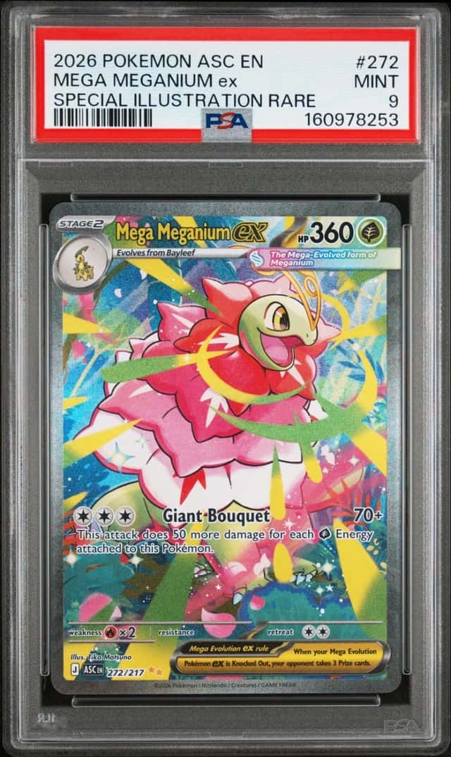 MEGA MEGANIUM ex