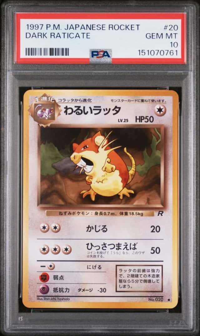 Dark Raticate