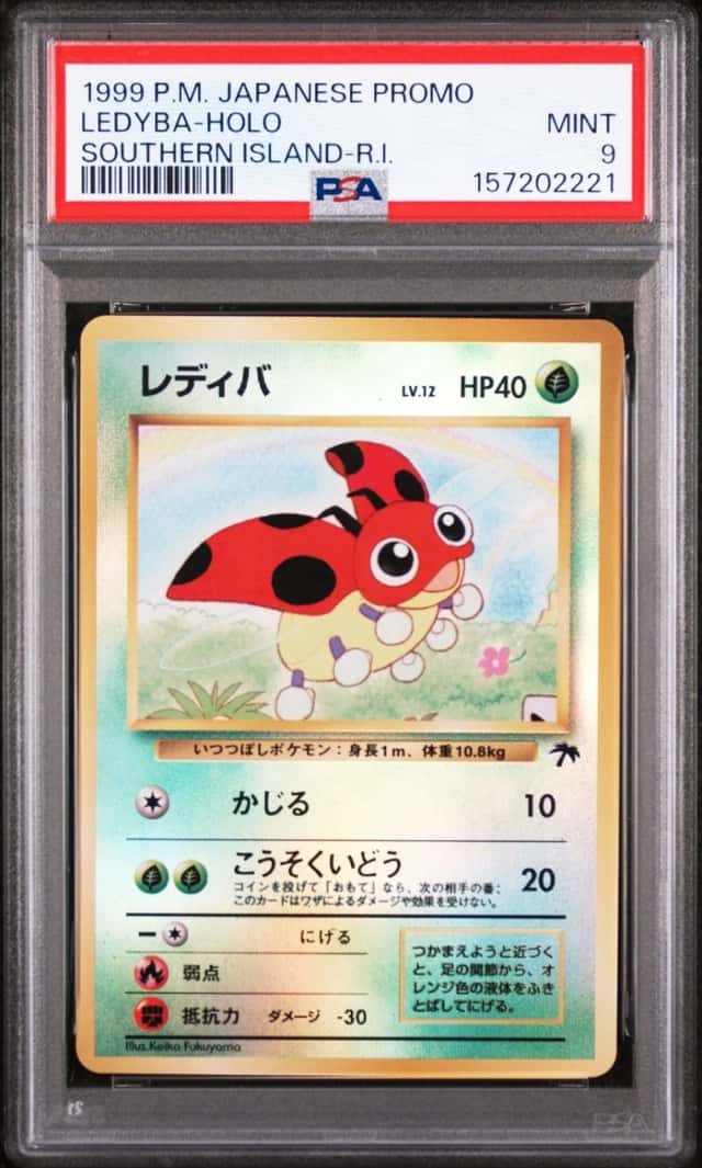 Ledyba