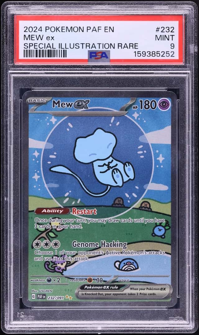 MEW ex