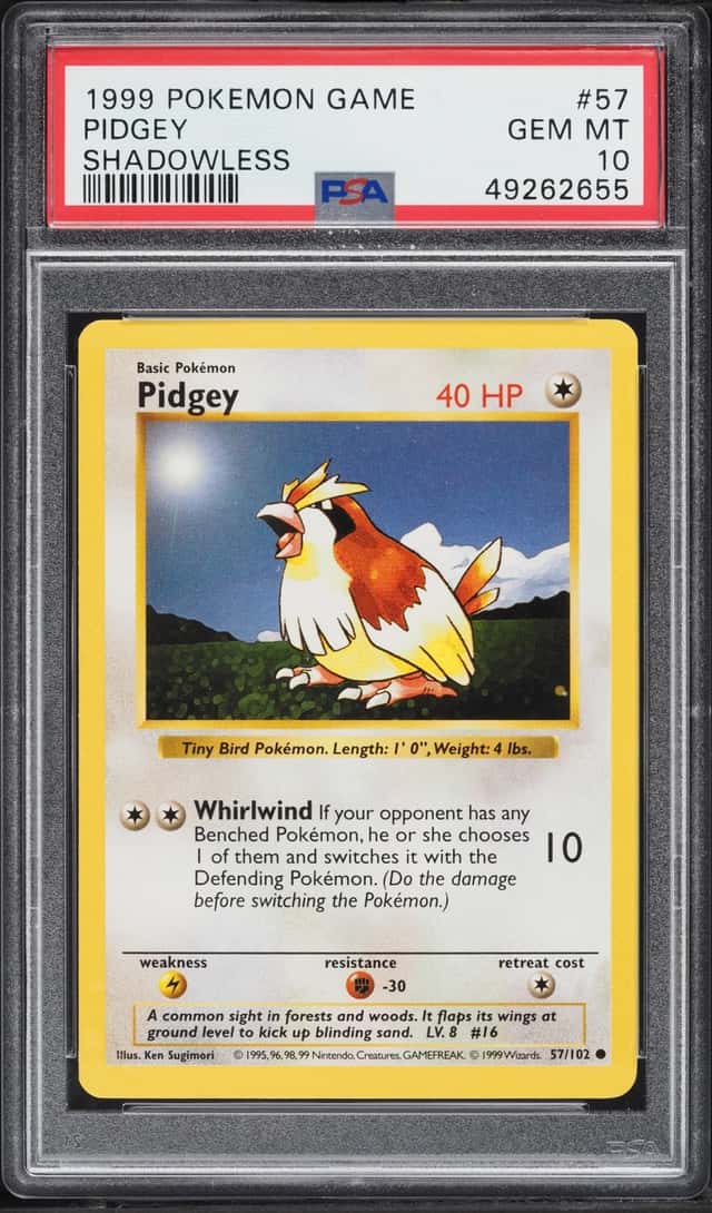Pidgey
