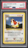 Pidgey