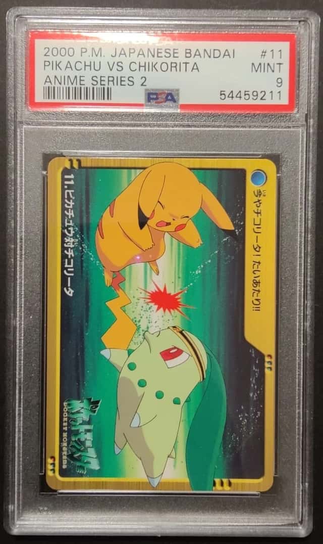 Pikachu Vs Chikorita