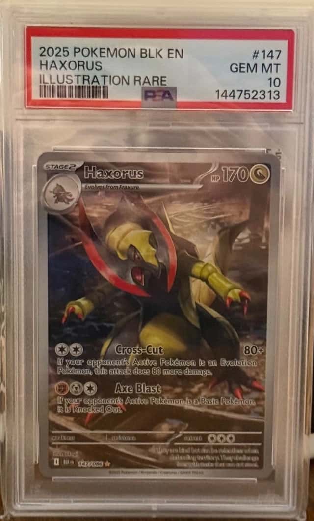 Haxorus