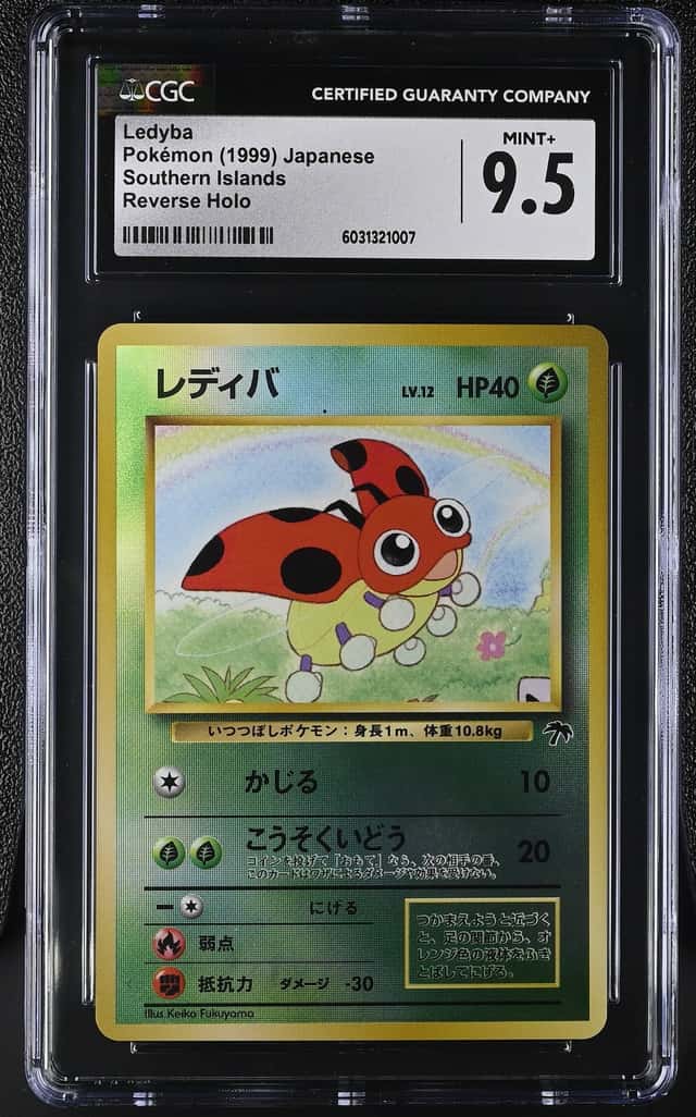 Ledyba