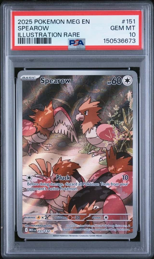 Spearow