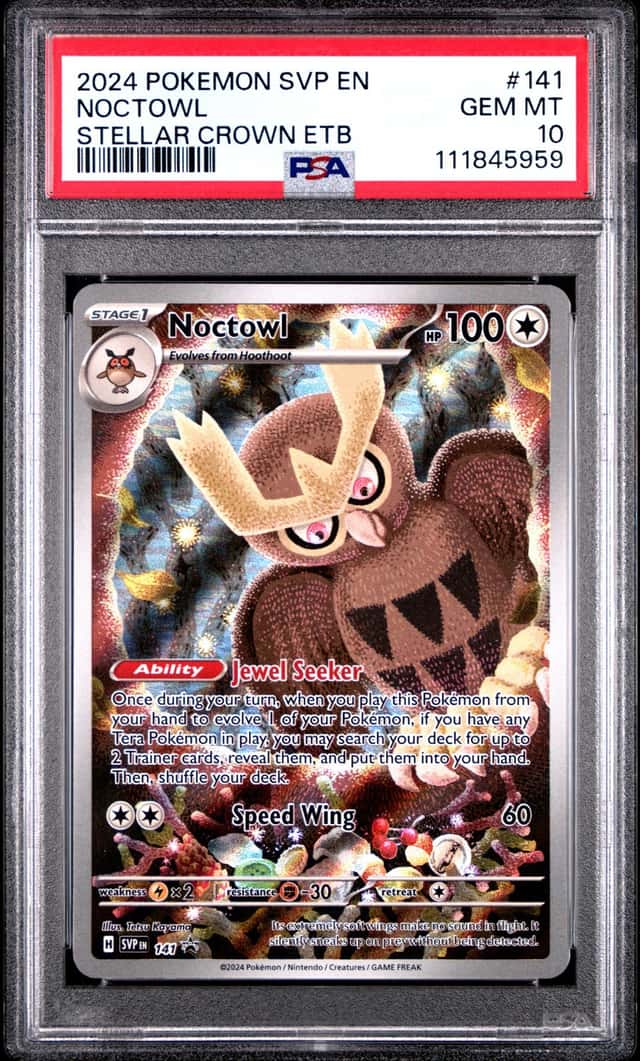 Noctowl