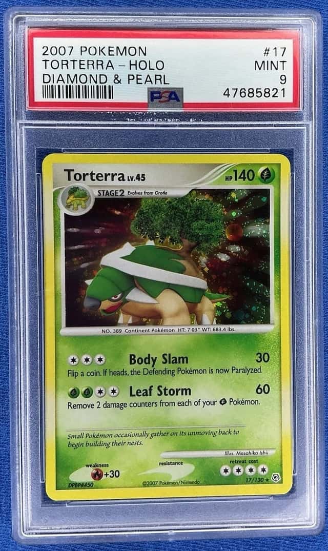 Torterra